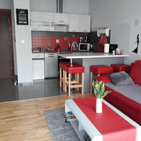 Przytulny Apartamencik ダルウフコ エクステリア 写真