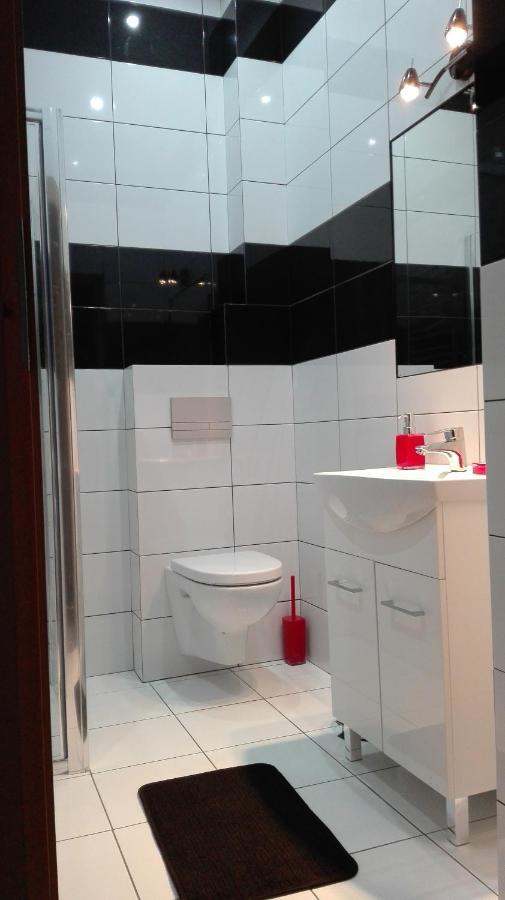 Przytulny Apartamencik ダルウフコ エクステリア 写真
