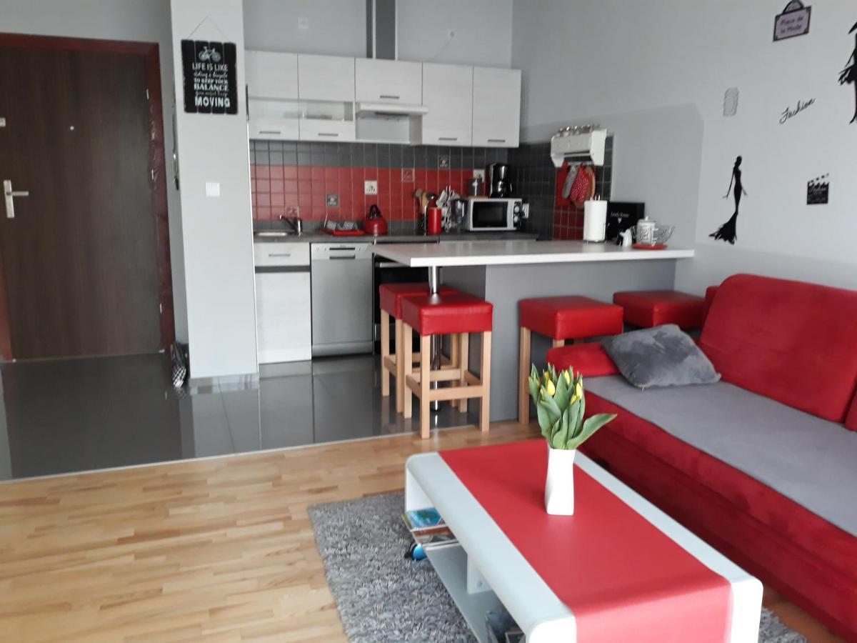 Przytulny Apartamencik ダルウフコ エクステリア 写真